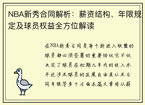 NBA新秀合同解析：薪资结构、年限规定及球员权益全方位解读